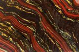 Polished Tiger Iron Stromatolite - Billion Years #129457-1